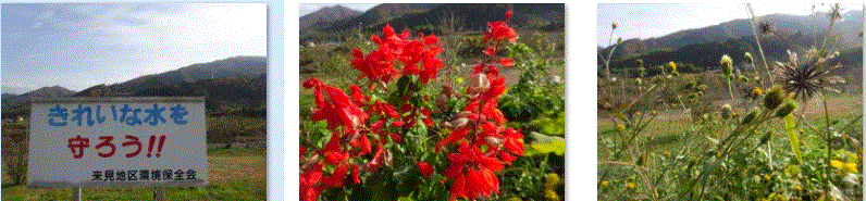 f0231709_14201969.gif