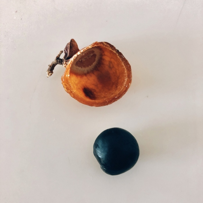 d0138811_11292994.jpeg