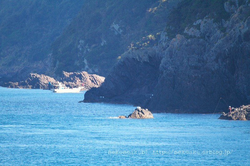 b0003512_11493567.jpg