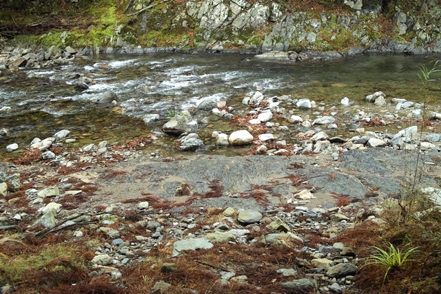 c0044819_831314.jpg
