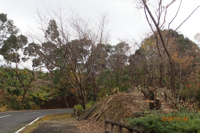 e0138321_749747.jpg