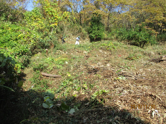 e0138321_816283.jpg