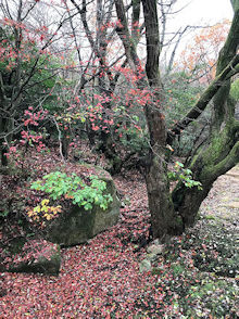 e0103024_13293581.jpg