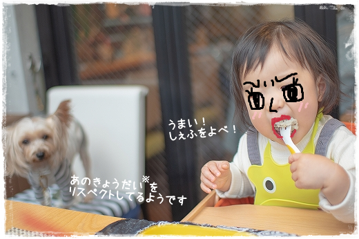 d0179828_11330838.png