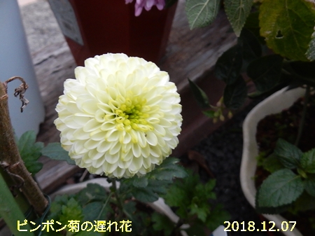 e0033229_1826068.jpg