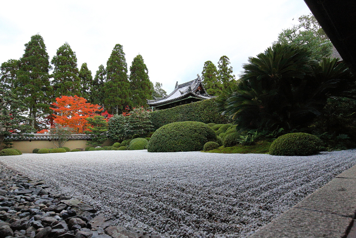 紅葉の京都2018 －一休寺へ－ _b0169330_2330123.jpg