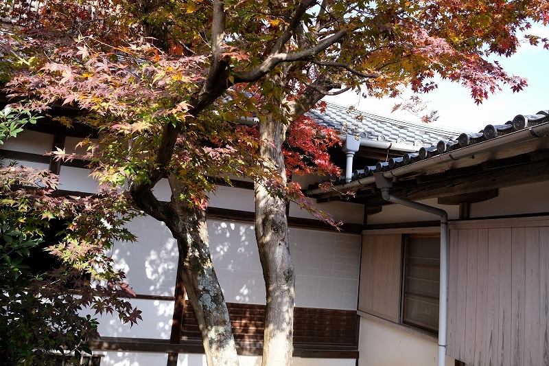 東照大権現の墓_e0374932_17583327.jpg