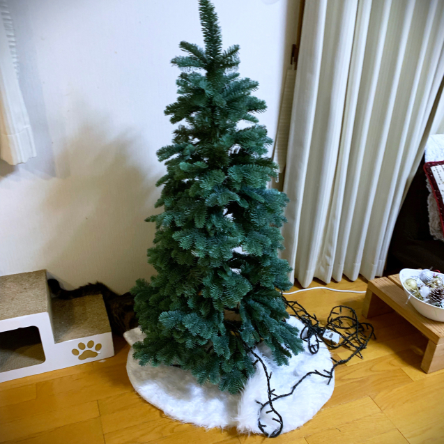 d0355333_20232738.jpg