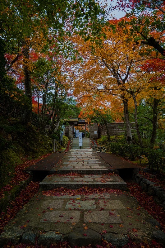 ２０１８京都紅葉～化野念仏寺_e0363038_14300370.jpg