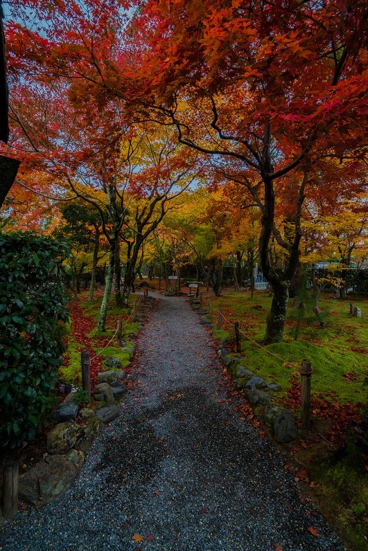 ２０１８京都紅葉～化野念仏寺_e0363038_14300819.jpg