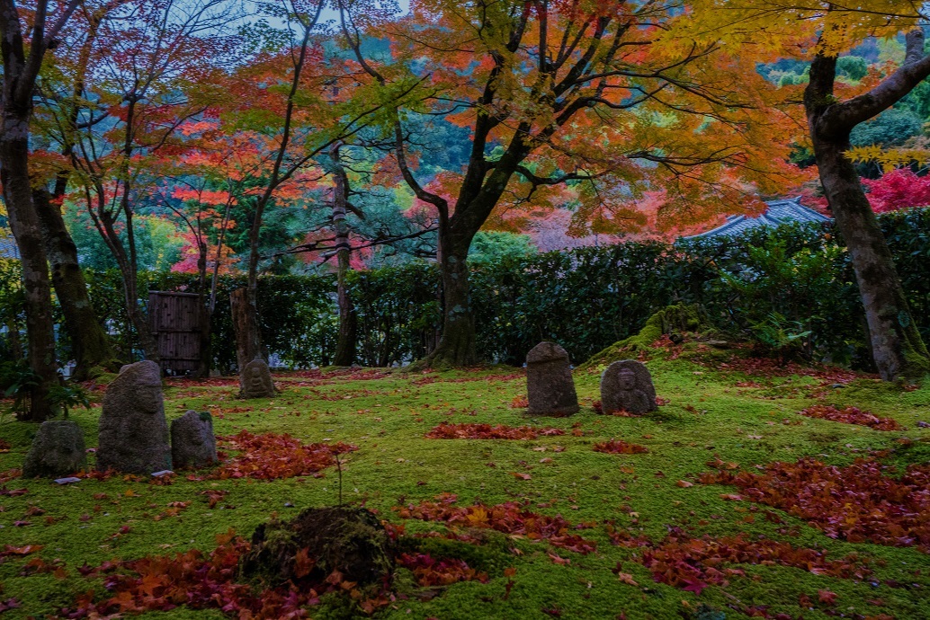 ２０１８京都紅葉～化野念仏寺_e0363038_14301771.jpg