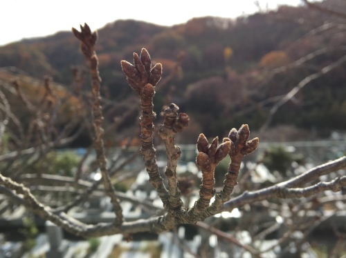 b0330040_14212028.jpeg