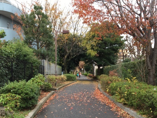 b0330040_15524357.jpeg