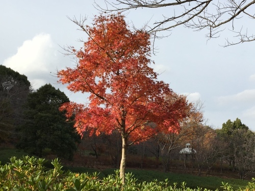b0330040_20311333.jpeg