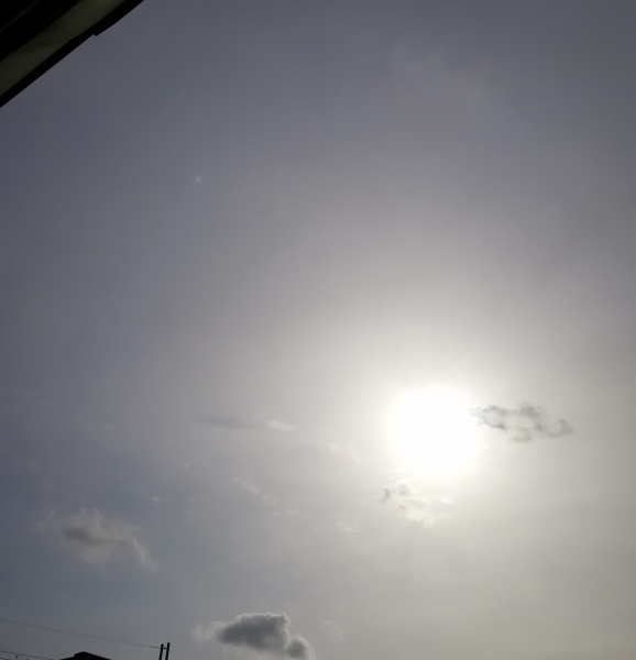 a0347547_10562534.jpg