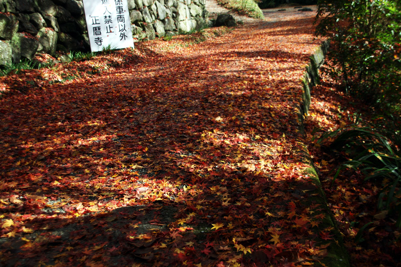 d0322448_11374600.jpg