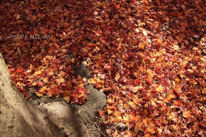c0145250_09415267.jpg