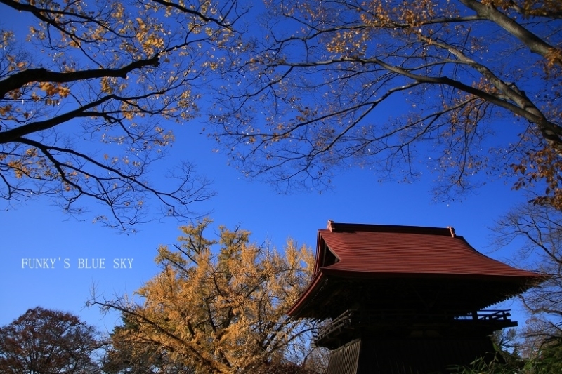 c0145250_09420494.jpg