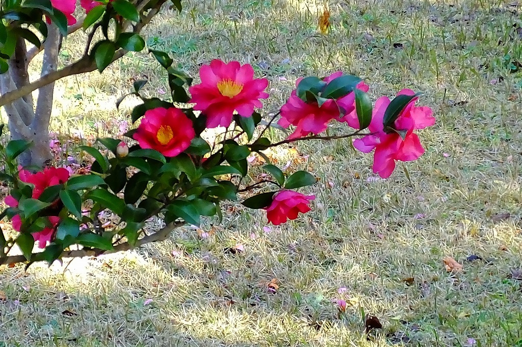 b0236251_11324978.jpg