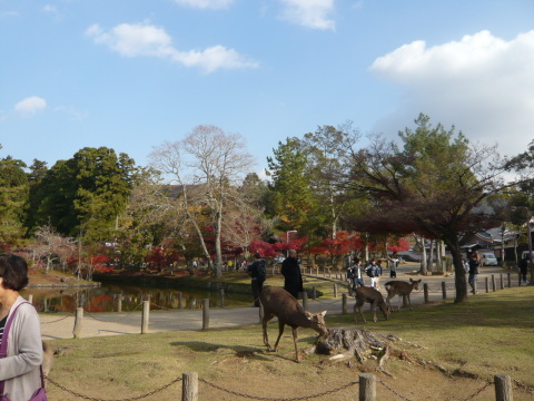 e0175651_17391943.jpg