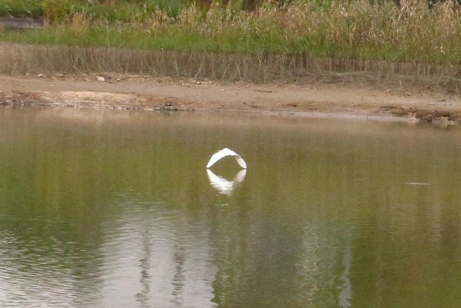 a0018655_12303721.jpg