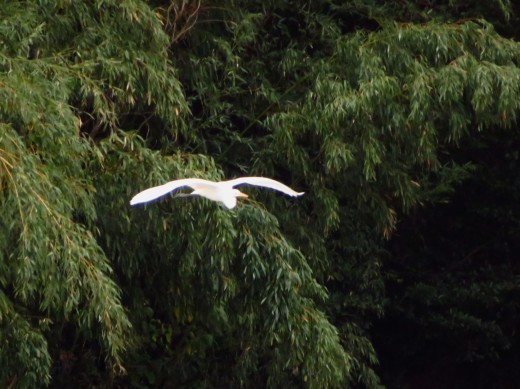 a0018655_12514525.jpg