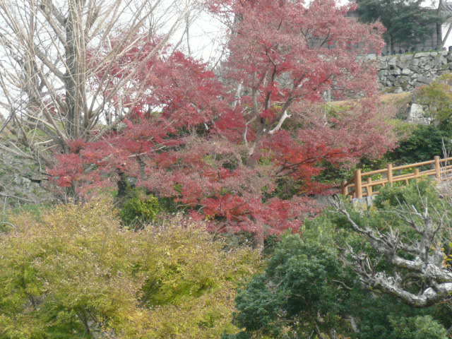 c0043055_13082490.jpg