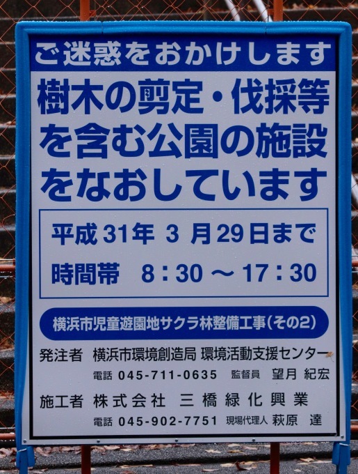 a0248459_14033725.jpg