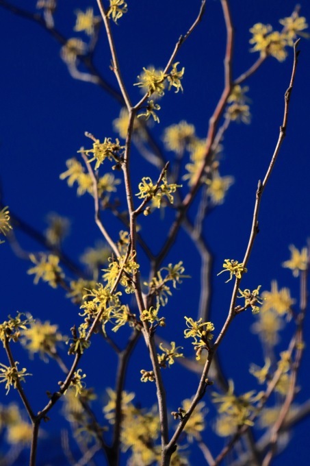 a0248459_14161154.jpg