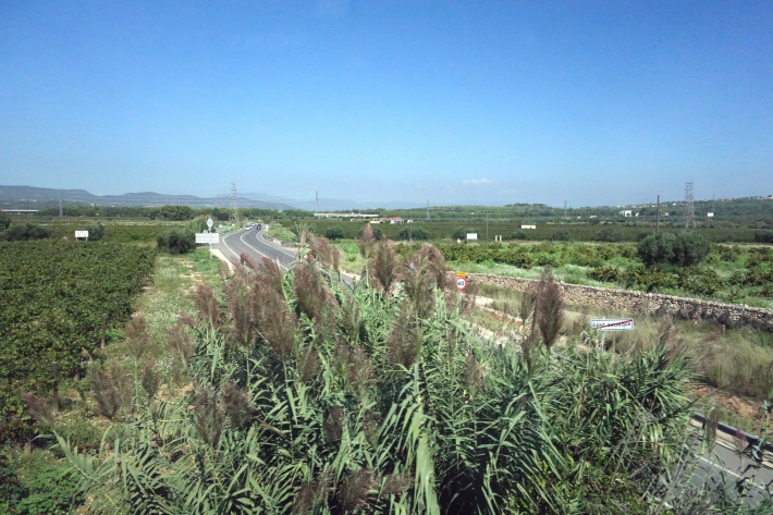 f0117059_15131740.jpg