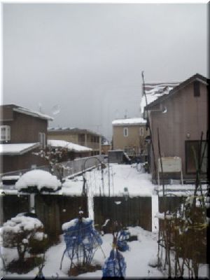 c0024861_11224736.jpg