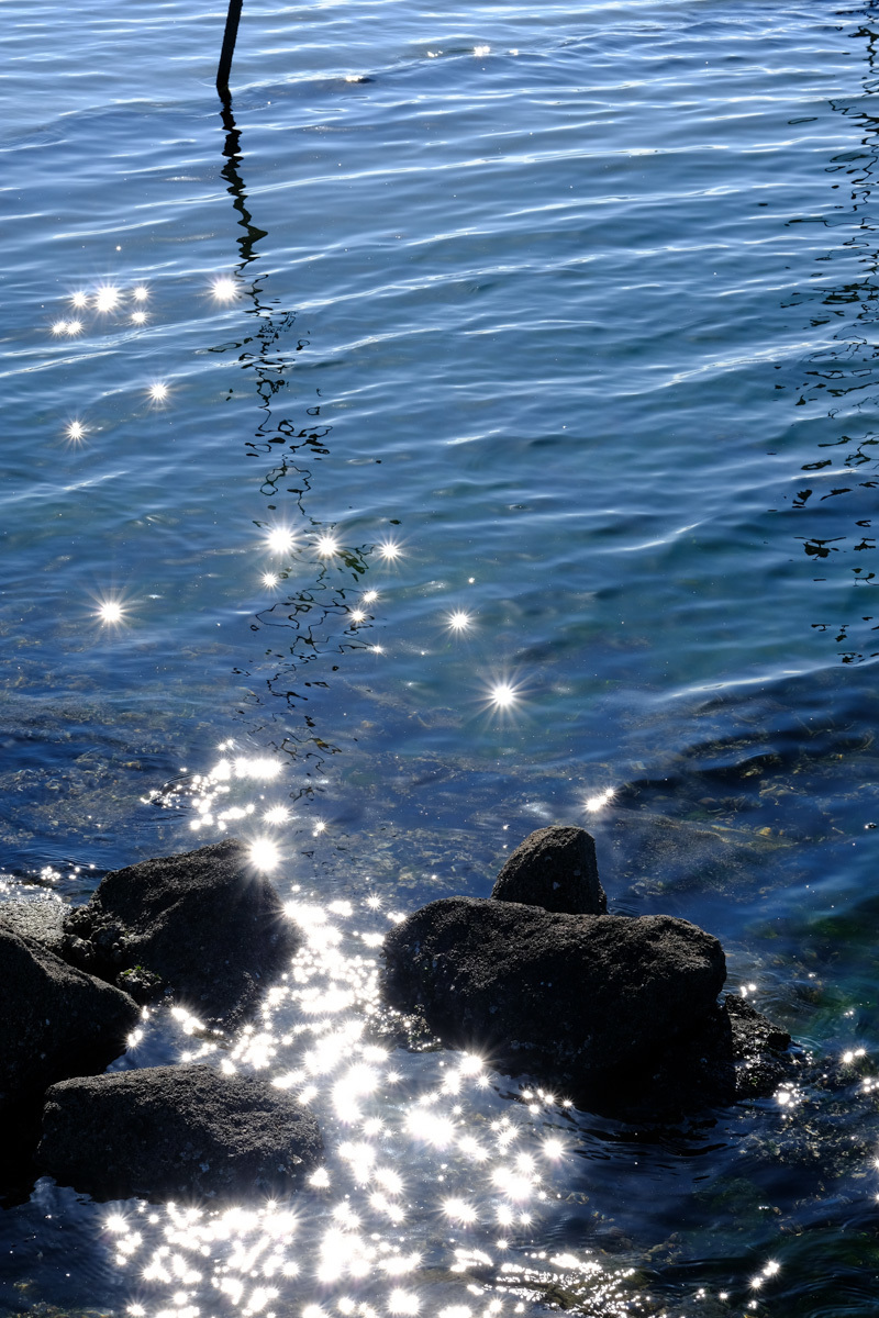 c0084666_17033580.jpg