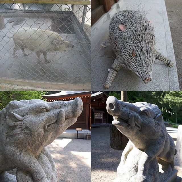 明治浮世絵と2019年賀状案、飛んだり跳ねたり続報、金閣寺の長虹、四天王寺の巨大釣鐘ほか;2018/12/4~7twitterまとめ_b0116271_17254202.jpg