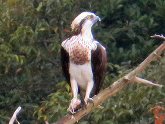 b0057675_21000720.jpg