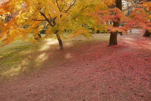 b0358575_22583201.jpg