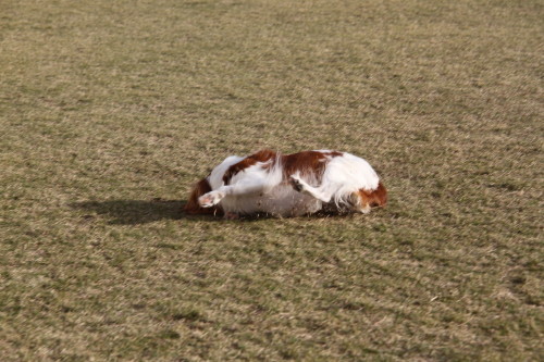 e0114977_08593244.jpg