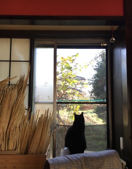 f0354880_17183635.jpeg