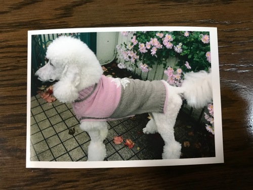 a0216583_23391616.jpeg