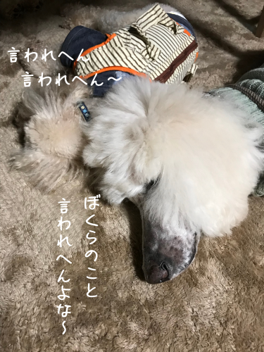 a0216583_23392072.png