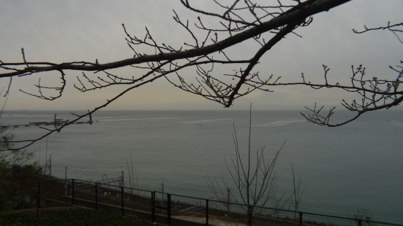 c0212083_17460914.jpg