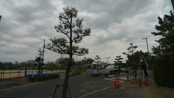 c0212083_17483040.jpg