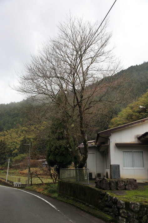 c0358784_21363107.jpg