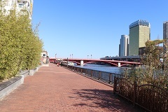 d0183387_00002958.jpg