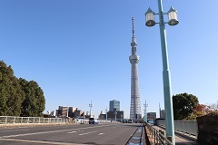 d0183387_16353279.jpg