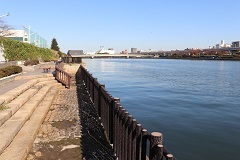 d0183387_16425675.jpg