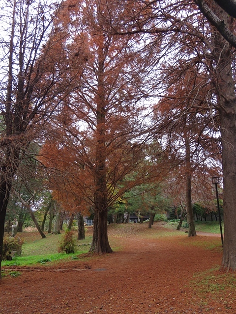 f0357487_21184885.jpg