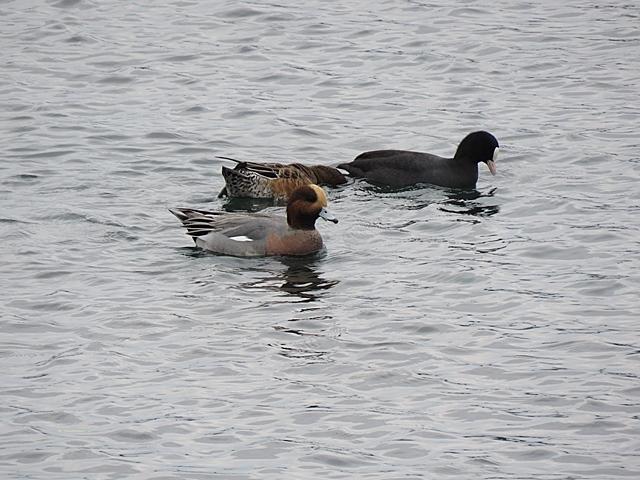 f0357487_21282724.jpg