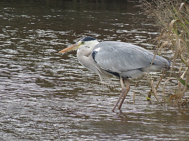 f0357487_21303907.jpg