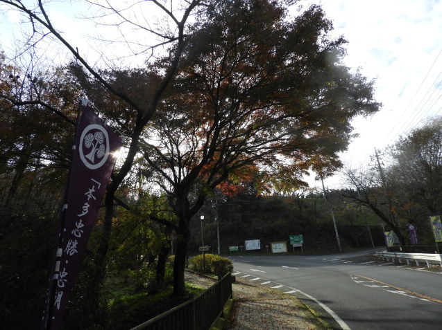 a0157088_19331377.jpg