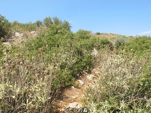 c0010496_01425241.jpg
